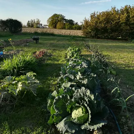Corte Cascine Vakantieboerderij Borgoforte